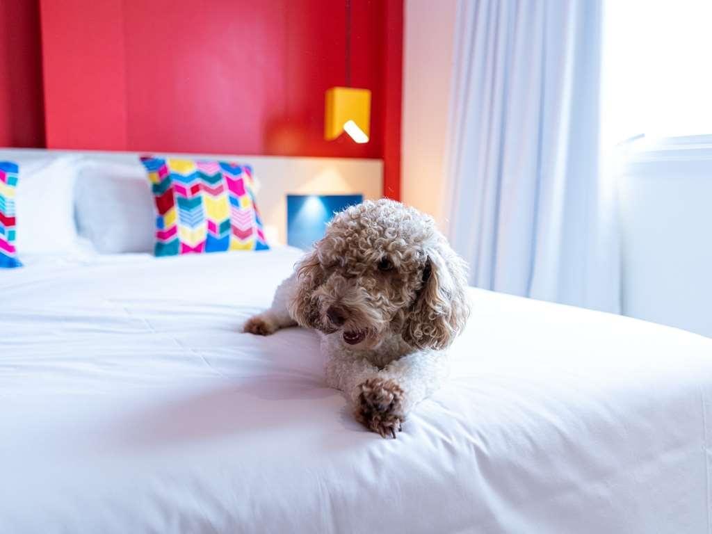 Ibis Styles Campina Grande photo 1