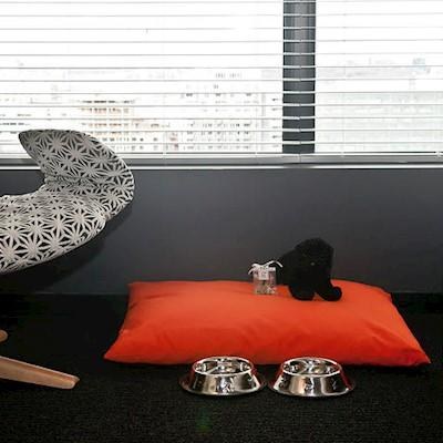 ALT Hotel Winnipeg photo 2