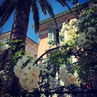 HOTEL VILLA ROSE photo 1