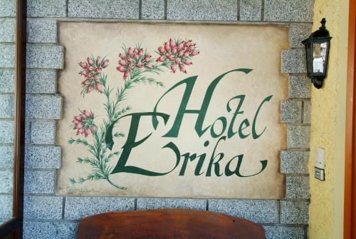 Hotel Erika photo 1