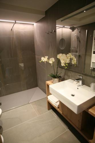 Alpen Hotel Vidi photo 1
