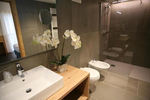 Alpen Hotel Vidi photo 2