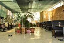 Comfort Life Hotel photo 4