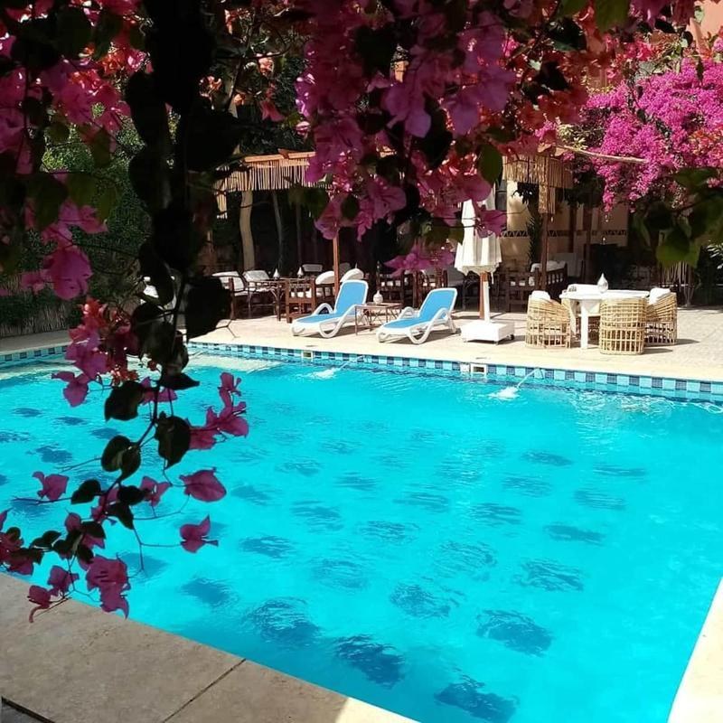 NILE COMPOUND HOTEL photo 3