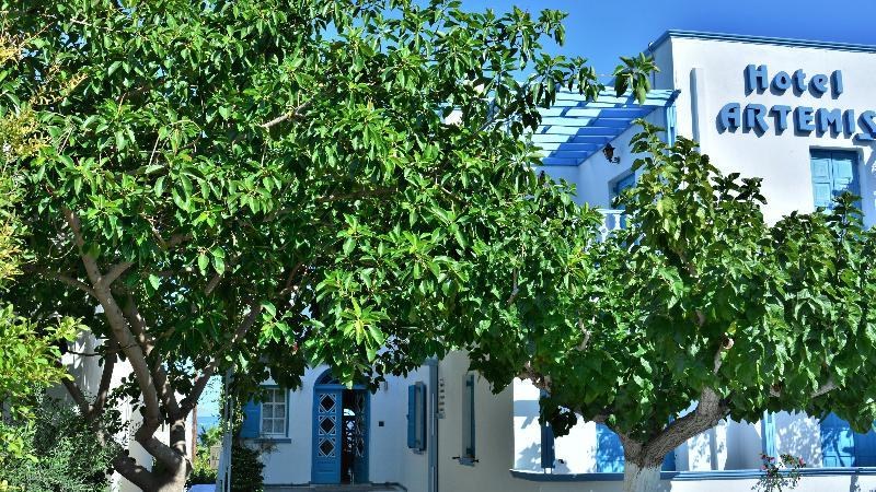Artemis Santorini photo 1