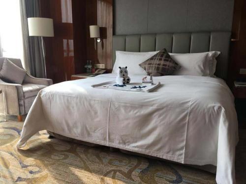Worldhotel Grand Jiaxing Hunan photo 2