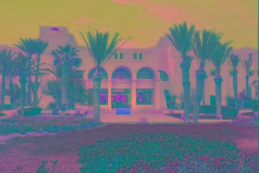 ULYSSE DJERBA THALASSO & SPA photo 3