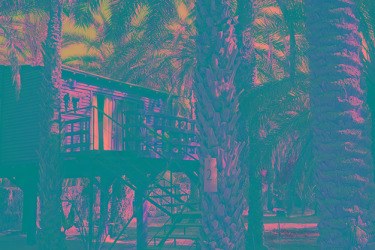 DIAR ABOU HABIBI photo 2