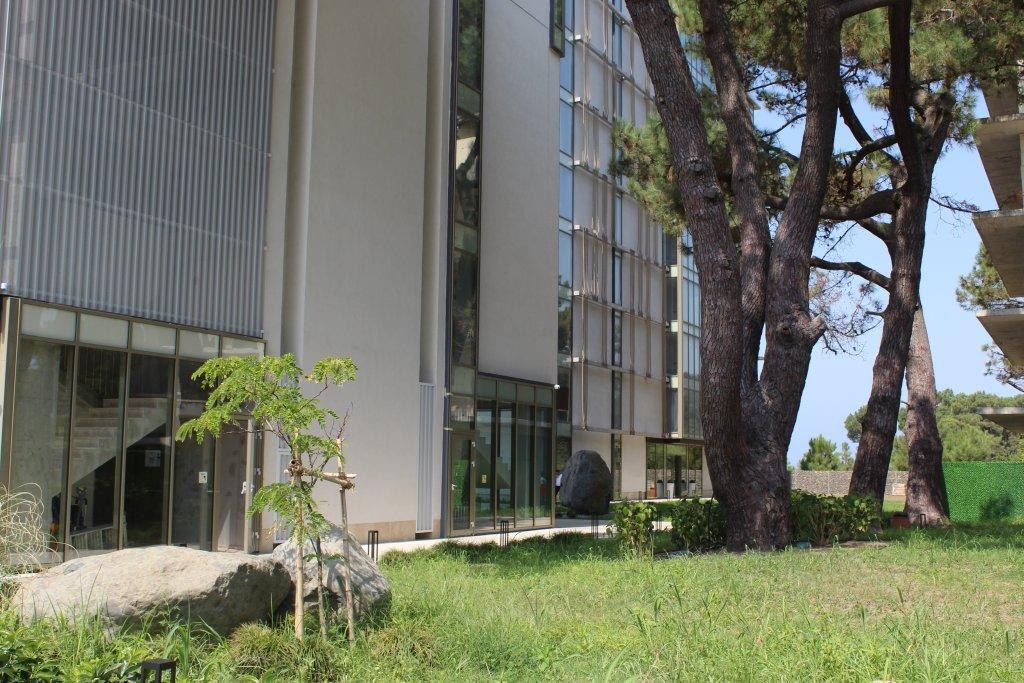 Miramare Magnetic Beach Hotel photo 1