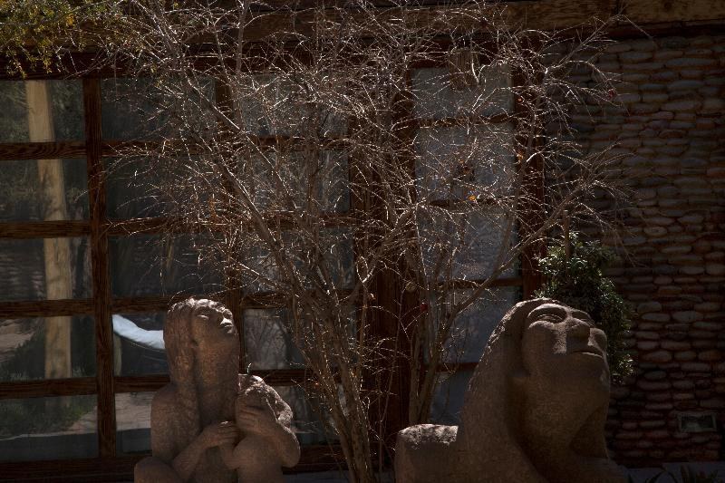 Terrantai Lodge photo 1