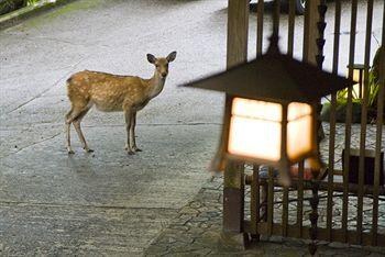 Nara Tsukihitei Ryokan photo 1