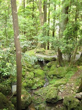 Nara Tsukihitei Ryokan photo 3