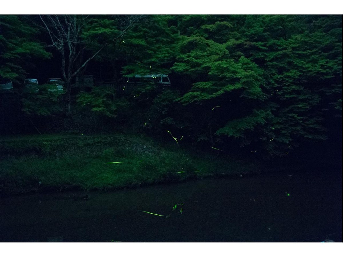 Momijiya Bekkan Kawa no Iori photo 1
