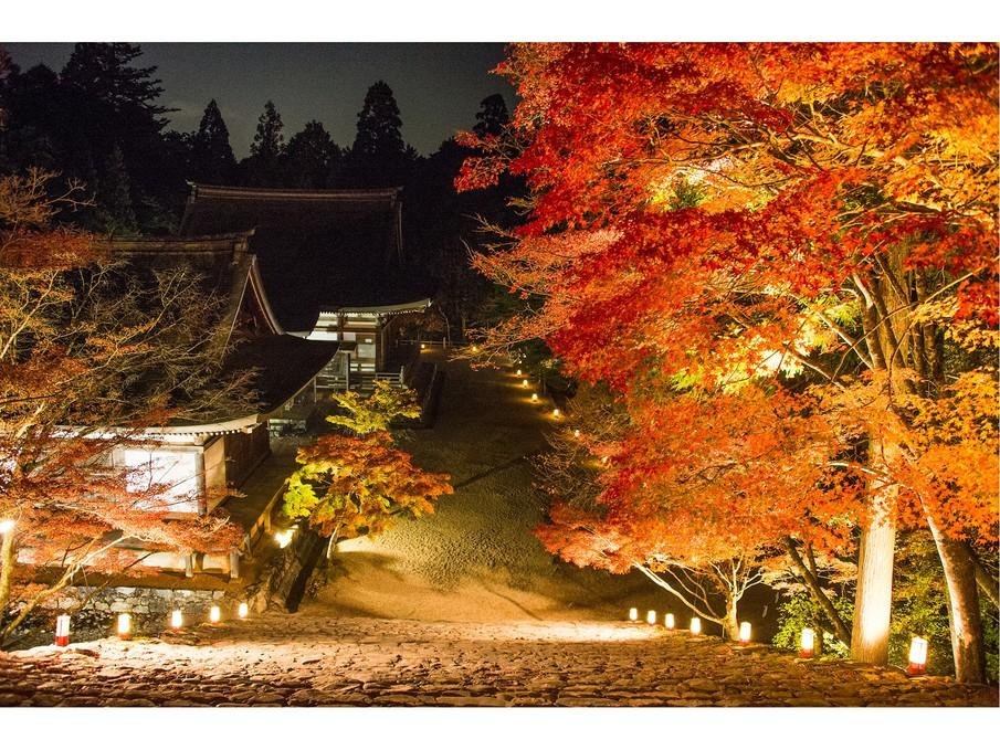 Momijiya Of Takao Kyoto