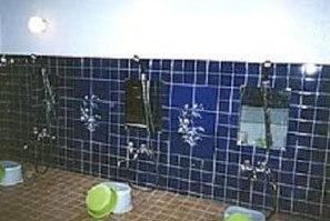 Hotel Diamond photo 3