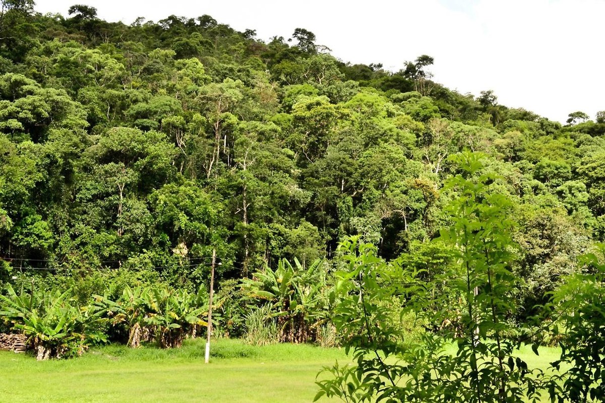 Vale Verde Penedo Hotel photo 4