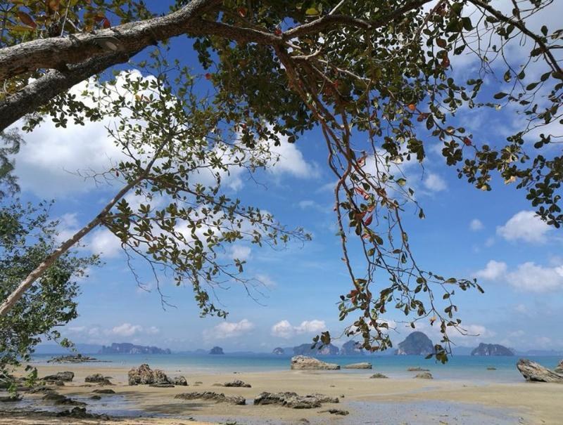 Krabi Home Resort photo 4