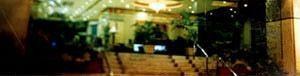 Holiday Plaza Hotel - Cebu photo 2