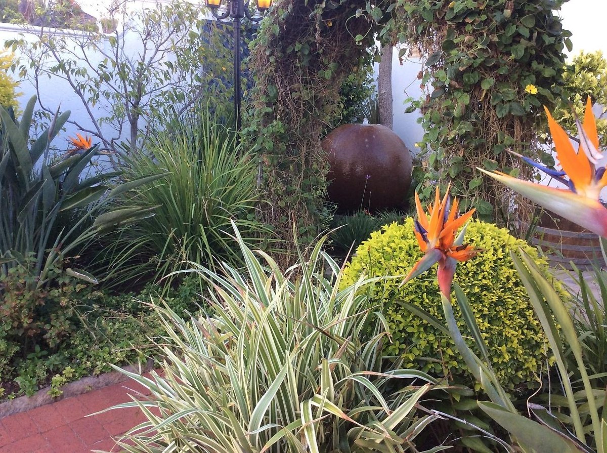 Carslogie House photo 3