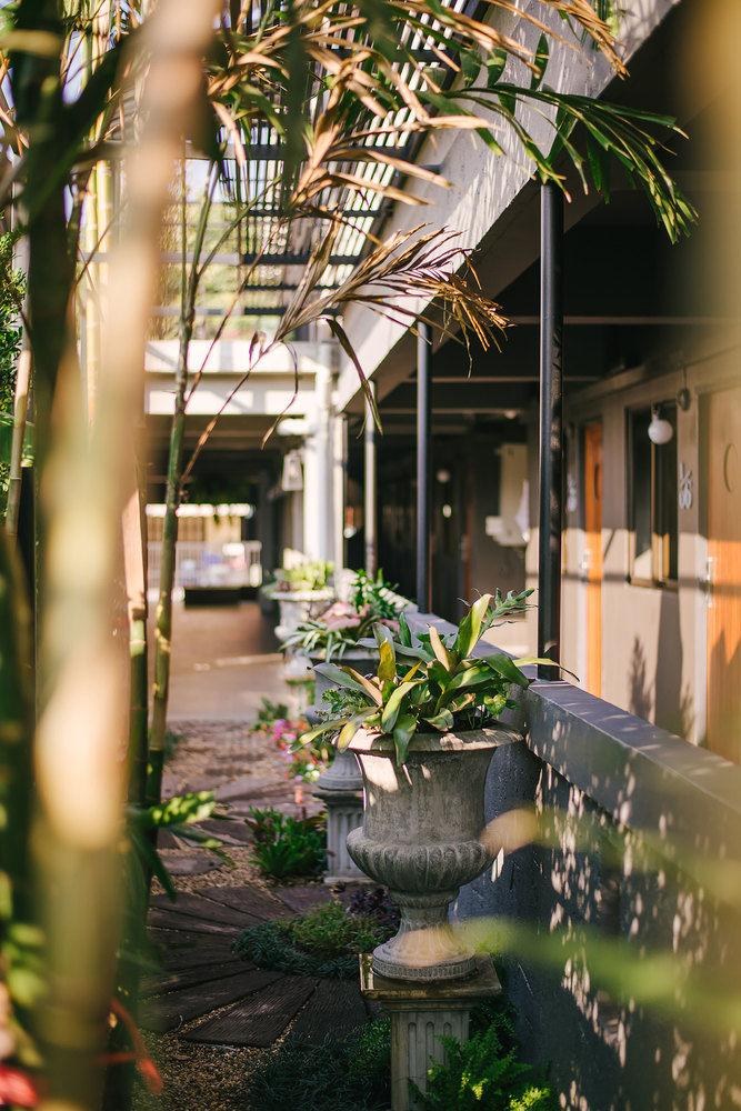 Cozy Inn Chiang Mai photo 3