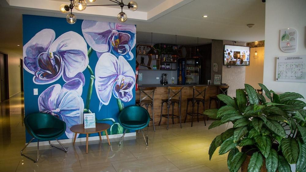 Ecohub Hotel Medellin photo 3