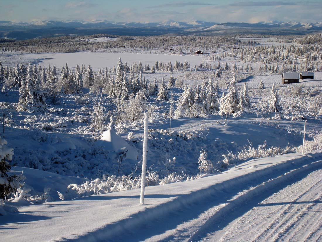 Nermotunet photo 1