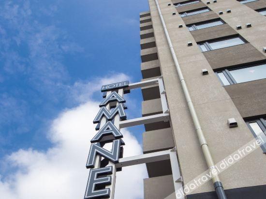 HOTEL AMANEK Kamata Ekimae photo 4