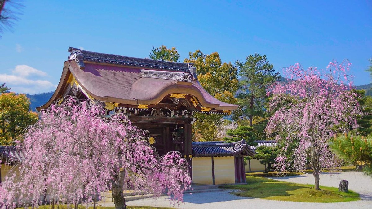 Sun Members Kyoto-Saga photo 1