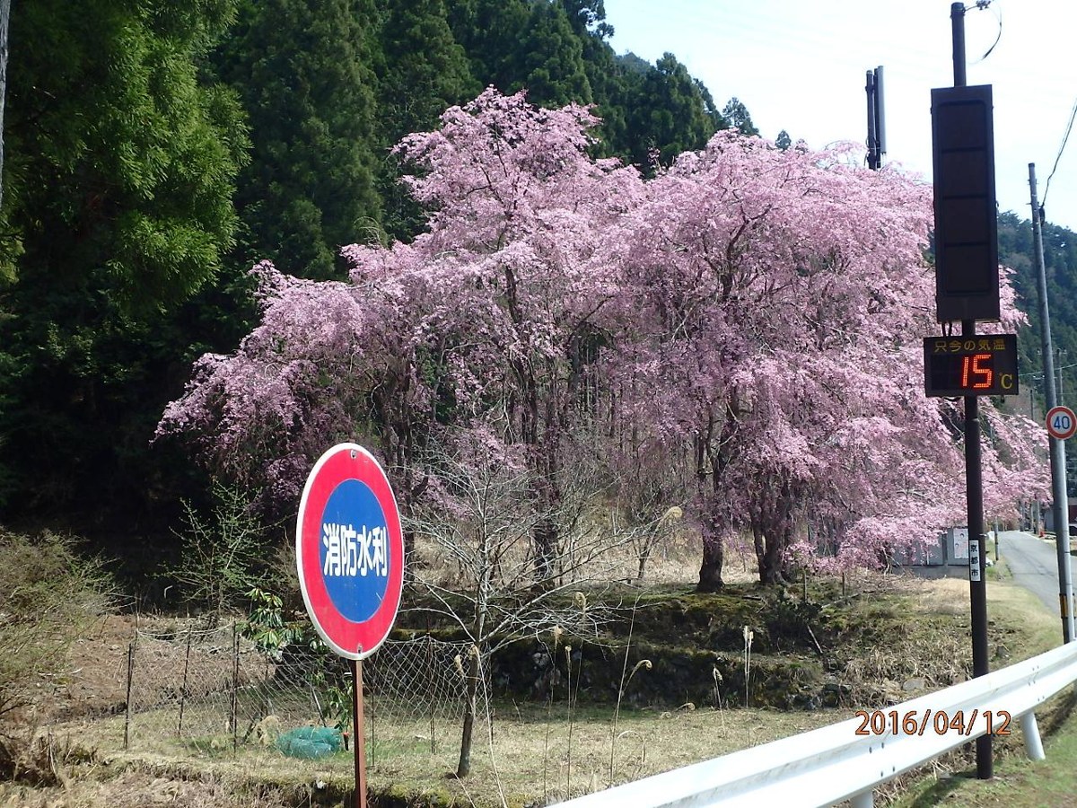 Kyo no Yado Nishioji Inn photo 3