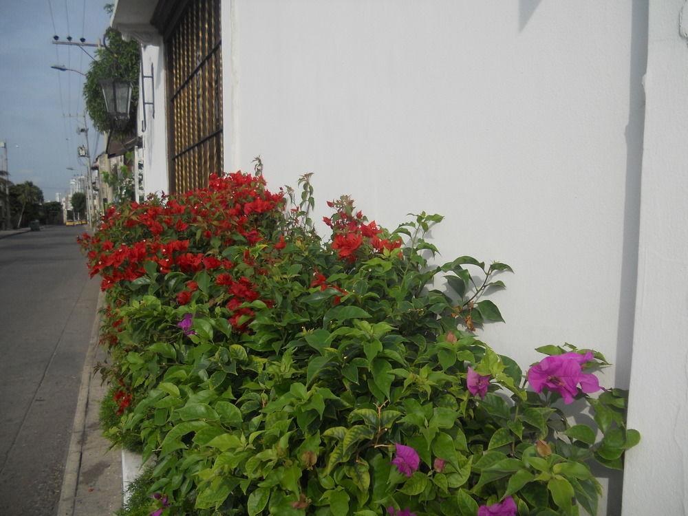 Hotel Patio de Getsemani photo 3