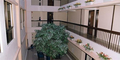Palace Hotel photo 1