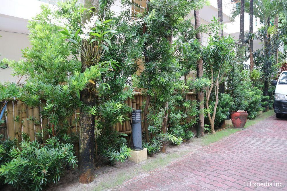 Jony's Beach Resort photo 2