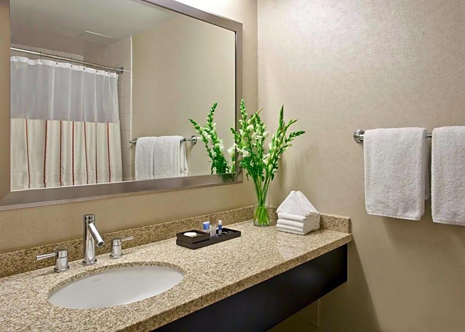 Hyatt Regency O'Hare Chicago photo 2