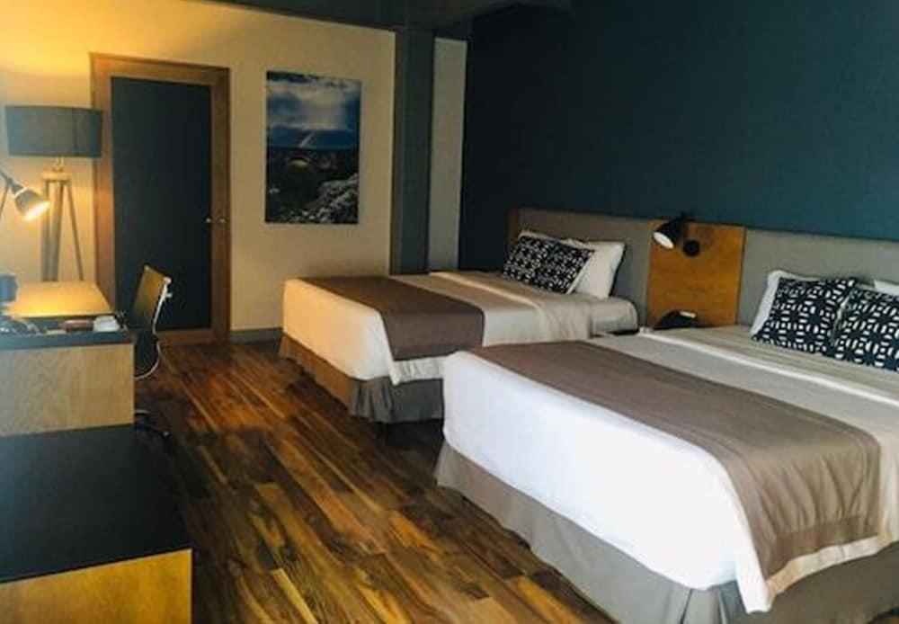 TRYP by Wyndham San Luis Potosi Hotel & Suites photo 2