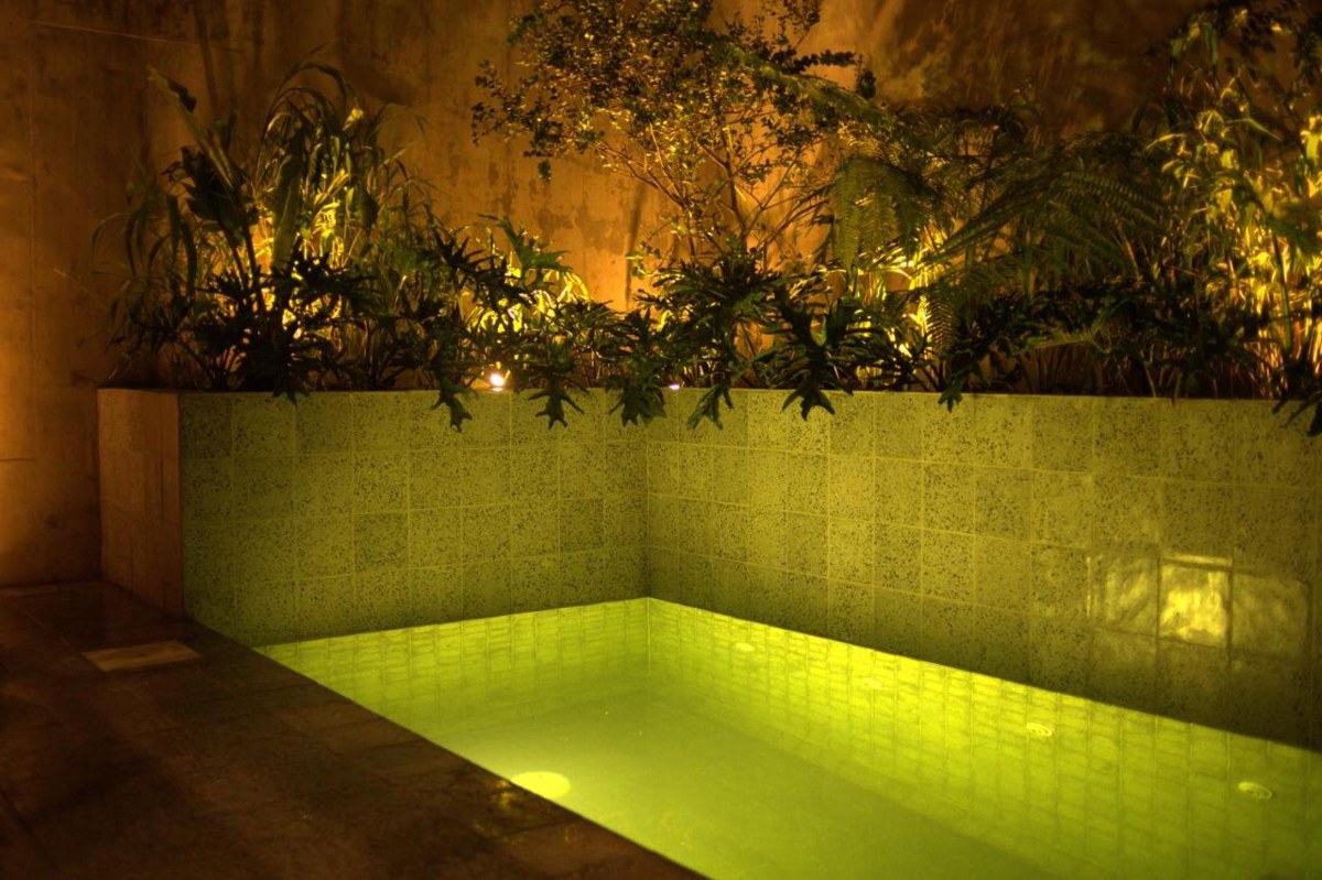 COCO photo 4