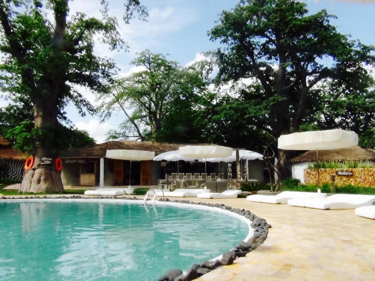 LES PALETUVIERS photo 1