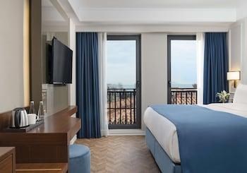 ROYAN HOTEL HAGIA SOPHIA ISTANBUL, A MEMBER OF RADISSON INDIVIDUALS photo 4