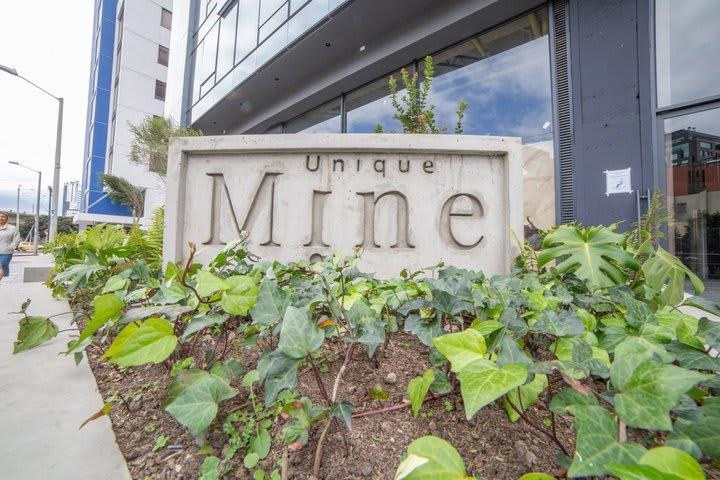 Unique Mine photo 2