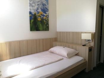 HOTEL L¿TSCHBERG photo 3