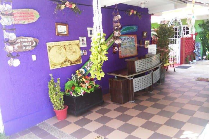 Posada Licy photo 3