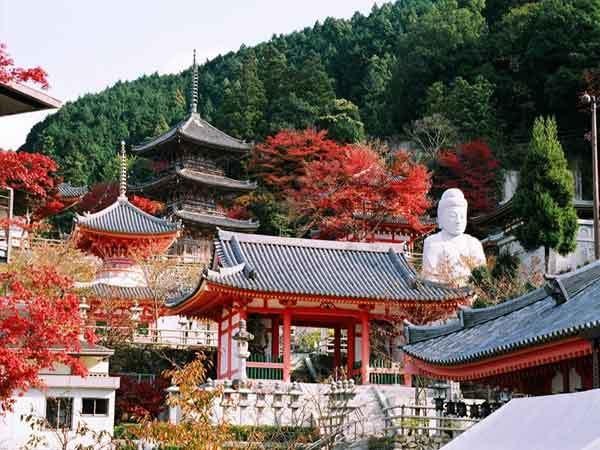 Kashihara City Hotel photo 4