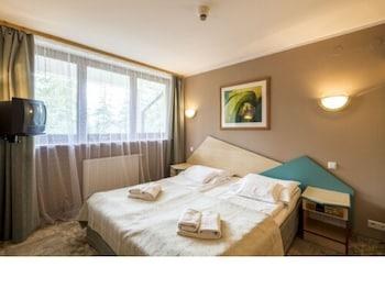 GEOVITA ZAKOPANE photo 4