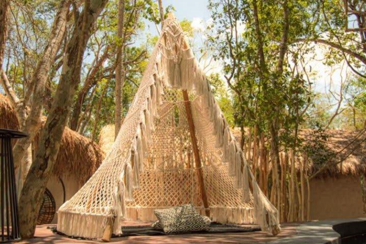The Yellow Nest photo 4