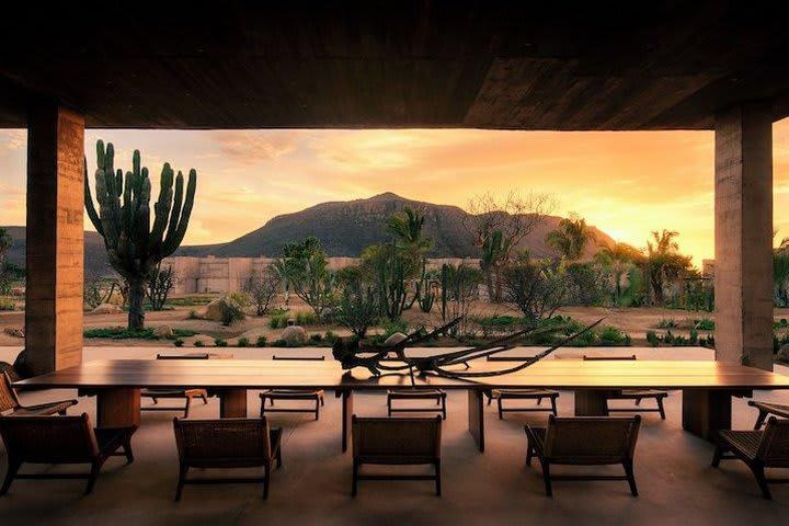 Paradero Todos Santos - Exclusive Experiences