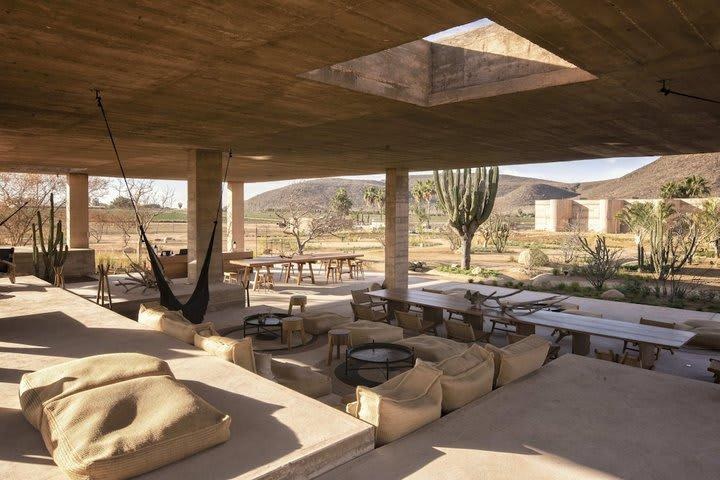 Paradero Todos Santos - Exclusive Experiences photo 2