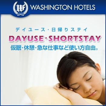 Takarazuka Washington Hotel photo 3
