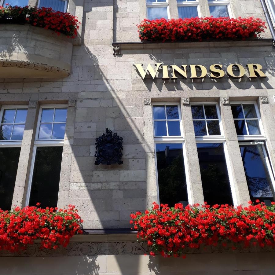 WINDSOR photo 4