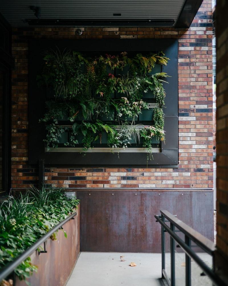 Astra Hotel, Seattle, A Tribute Portfolio Hotel by Marriott South Lake Union photo 1