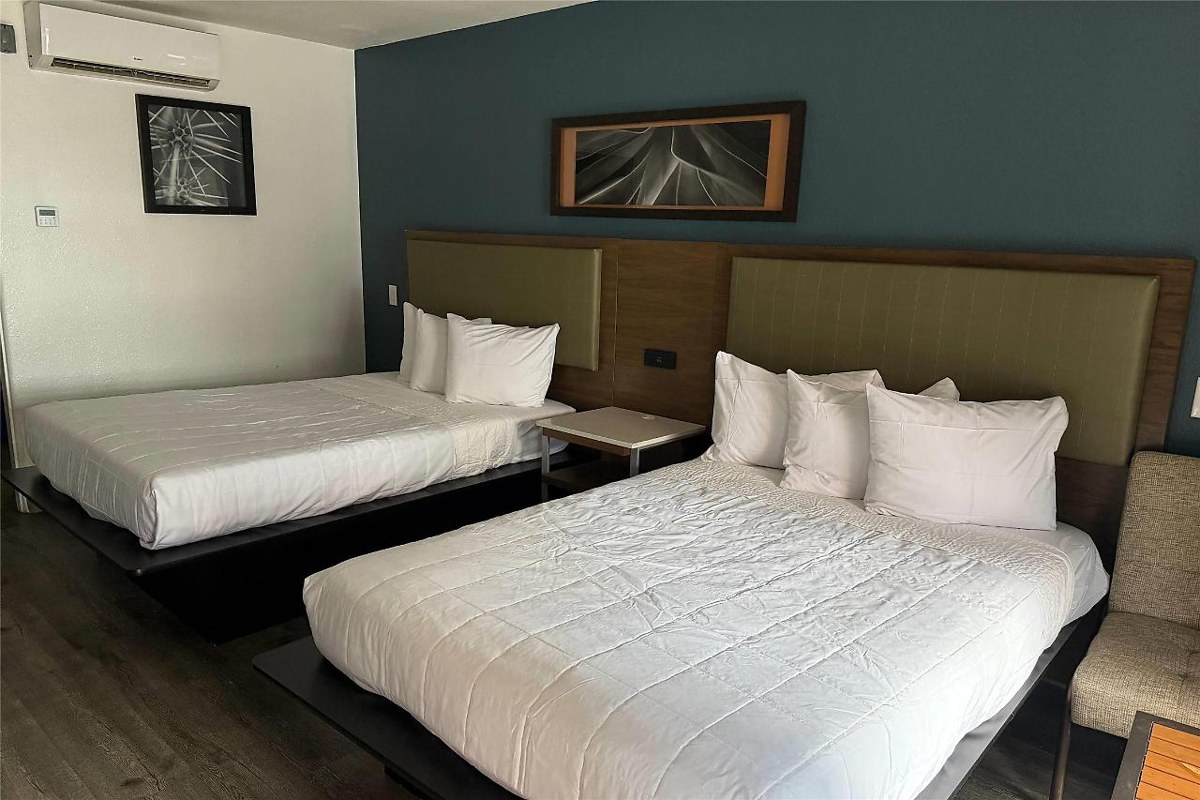 DTLV, a Baymont by Wyndham photo 3